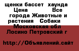 щенки бассет- хаунда › Цена ­ 20 000 - Все города Животные и растения » Собаки   . Московская обл.,Лосино-Петровский г.